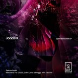 Jonas K - Spaceclouds (Colin Levis & Bäggy Remix)