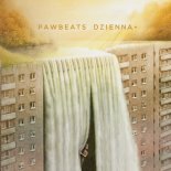 Pawbeats x Mr. Polska x Ewa Farna - Hollywood