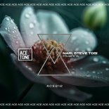 Nari, Steve Tosi - Trumpeta (Original Mix)