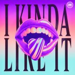 MOTi & Katt Niall - I Kinda Like It (Extended Mix)