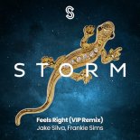 Jake Silva, Frankie Sims - Feels Right (VIP Remix) (Extended Mix)