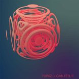 FLIPAZ - I Can Feel It (Extended Mix)