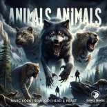 Marc Korn, Semitoo, Head & Heart - Animals Animals (Original Mix)