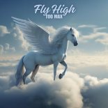 Too Max - Fly High (Disco Mix)
