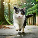 Cubby-S - Don't go away, meow!