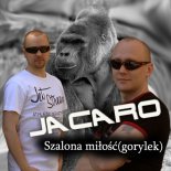 Jacaro - Szalona miłość (gorylek) (Radio Edit)