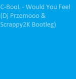 C-BooL - Would You Feel (Dj Przemooo & Scrappy2K Bootleg)
