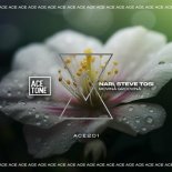 Nari, Steve Tosi - Movina Groovina (Original Mix)