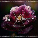 Nari, Steve Tosi - Heaven (Original Mix)