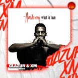 Haddaway - What Is Love (Glazur & XM Remix)
