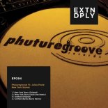 Phuture Groove - New York Story (Sean Den Remix)