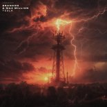 Brandon & MaxMillion - Tesla