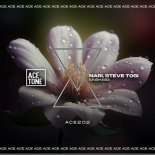 Nari, Steve Tosi - Kinshasa (Original Mix)