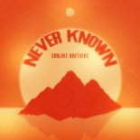 Sunlike Brothers - Never Known