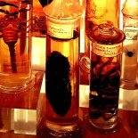 MAMMO - Nasty (Greg May Not Afraid Remix)