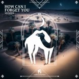 Cafe De Anatolia, Muneer - How Can I Forget You (Original Mix)