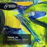 Timur_SH - Life Is Going Right