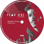 Amedeo Picone - Raveolution (Original Mix)