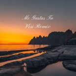 Vesi - Me Gustas Tu (Vesi Remix)