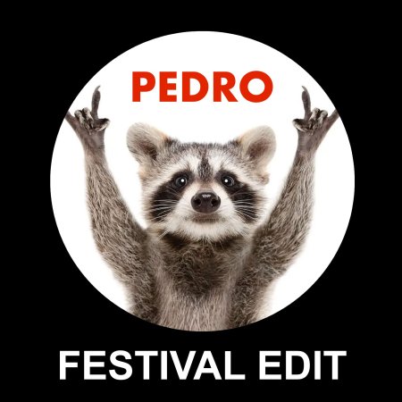 Jaxomy, Agatino Romero, Raffaella Carra╠Ç - PEDRO (Shany, Rudy MC, Never Sleep Remix)