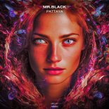 MR.BLACK - Pattaya (Extended Mix)