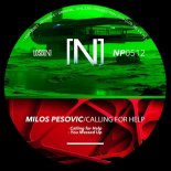 Milos Pesovic - You Messed Up (Original Mix)