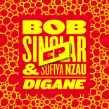Bob Sinclar & Sofiya Nzau - Digane (REMIND Remix Extended)