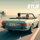 Tamash feat. Dino Mileta - Kylie (Index-1 Remix)