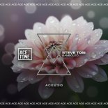Steve Tosi - Bamboleo (Extended Mix)