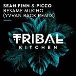 Sean Finn, Picco - Besame Mucho (Yvvan Back Extended Remix)