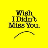 Sonny Noto - Wish I Didn't Miss You (Extended Mix)