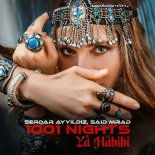 Serdar Ayyildiz, Said Mrad - 1001 NIGHTS / Ya Habibi (Extended)