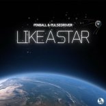 Pinball & Pulsedriver - Like A Star (Extended Mix)