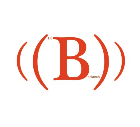 SKOLIM - WEJDE WYJDE (DJ BOCIANUS REMIX)