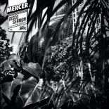 Mercer Feat. Ron Carroll - Disco Sermon