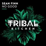 Sean Finn - No Good (Extended Mix)
