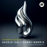 Hassio (COL), Sammy Morris  - Pandora Shaw (Original Mix)
