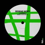 Seumas Norv - Caribbea (Jaques Le Noir Remix)