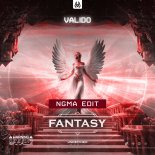 Valido - Fantasy (NGMA Edit) (Original mix)