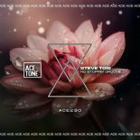 Steve Tosi - No Stoppin' Groove (Original Mix)