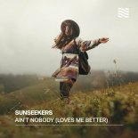SunSeekers - Ain't Nobody (Loves Me Better)