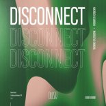 MACROLEV, SAVASHA - Disconnect (Extended Mix)
