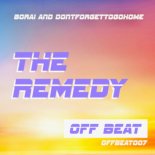 Borai and dontforgettogohome - The Remedy