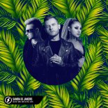 Kolya Funk feat. Nikita Rise, Aris - Samba de Janeiro