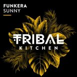 Funkera - Sunny (Extended Mix)