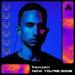 Fahjah - Now You're Gone (Original Mix)