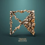 Trinix - Hotstepper (DJ Brooklyn Edit)