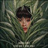 Steve Aoki feat. Irina Rimes - Dudadu (Remix)