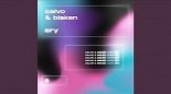 CALVO & Bisken - Cry