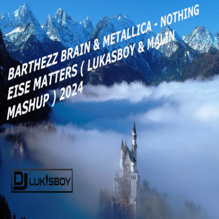 BARTHEZZ BRAIN & METALLICA - NOTHING EISE MATTERS ( LUKASBOY & MALIN MASHUP ) 2024